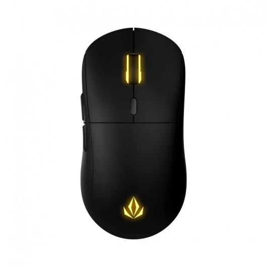 Raton Forgeon Darrowspike RGB