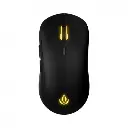 Raton Forgeon Darrowspike RGB